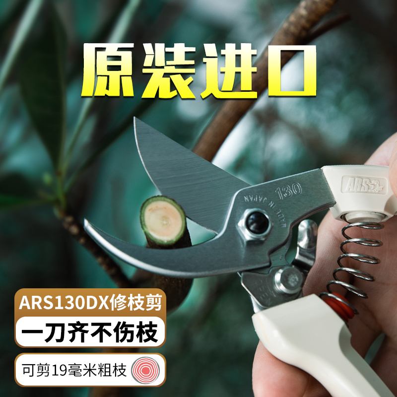 修枝剪日本进口爱丽斯ars 园林园艺剪刀果树修剪树枝剪枝修枝专用