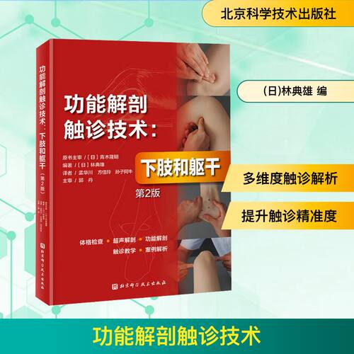功能解剖触诊技术:下肢和躯干 第2版 北京科学技术出版社 (日)林典雄 编 孟华川,方佳玲,孙子阿牛 译 外科学