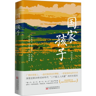 国家孩子柳桦著军事小说
