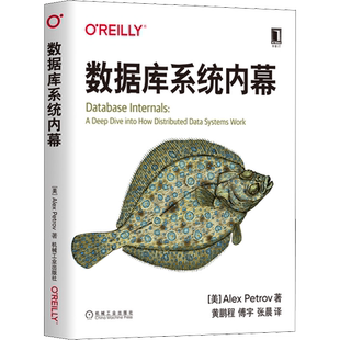 数据库系统内幕 机械工业出版社 (美)亚历克斯·彼得罗夫(Alex Petrov) 著 黄鹏程,傅宇,张晨 译 数据库