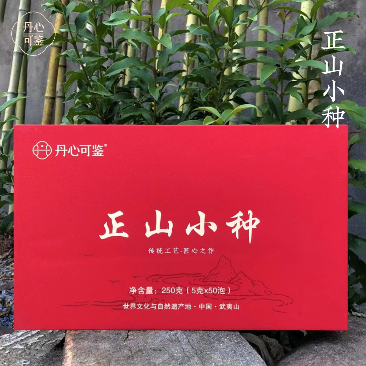 正山小种红茶丹心可鉴乡愁沈丹正宗武夷山茶叶礼品礼盒装节日送礼