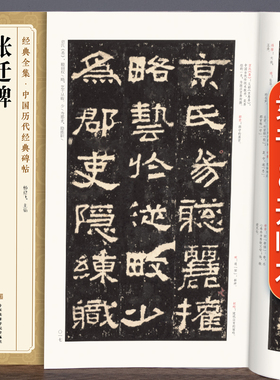 经典全集《张迁碑》中国历代碑帖精粹译文简体注释东汉代隶书毛笔字帖书法成人学生临摹帖练古帖练字中国美院出版社 杨建飞