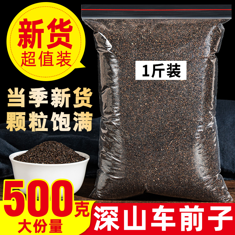 车前子中药材正品车前草籽车前子茶车前籽非特级野生泡水500g