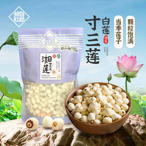 湘野红姐去芯磨皮白莲干货莲子百合煲汤新鲜当季湘莲寸三莲无薰硫