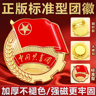 新款 中央监制胸针加厚强磁铁别针 团徽中国共青团团员正版 标准款
