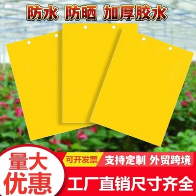 黄板双面粘虫板诱虫板贴纸灭小飞虫沾果蝇诱捕器果园蚊子苍蝇大棚