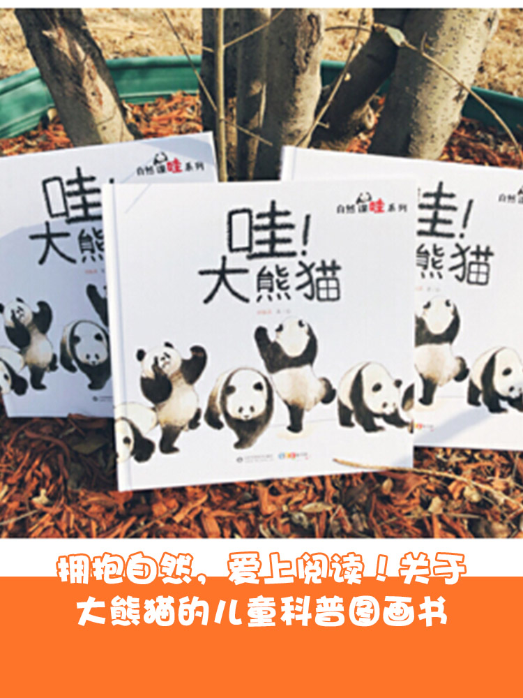 哇!大熊猫精装绘本图画书关于国宝大熊猫的儿童科普图画书让孩子学会用艺术的视角看自然山东科学技术出版社正版童书