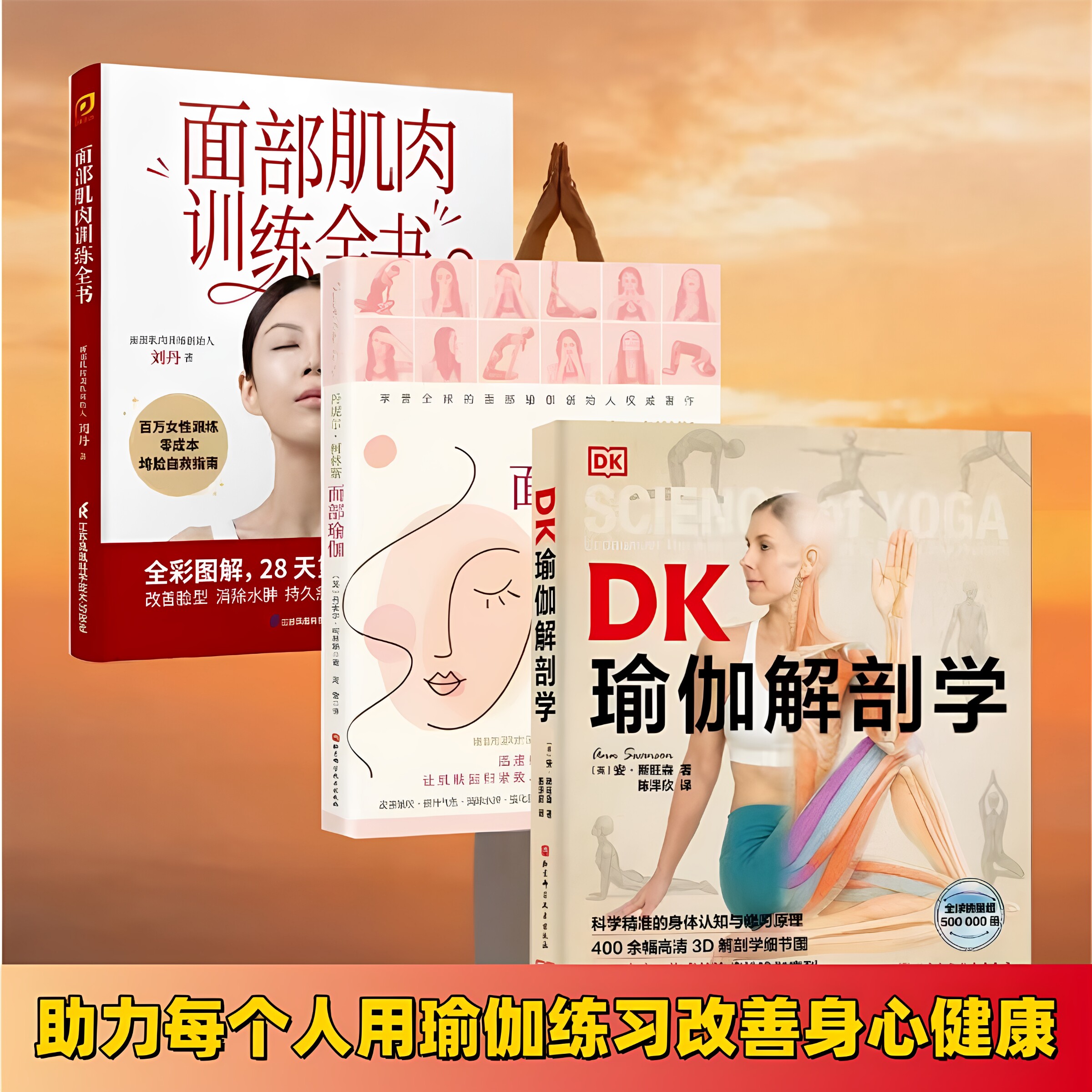 DK瑜伽解剖学瑜伽体式3D解剖图身体认知与修习原理400余幅高清细节图缓解疼痛焦虑 面部瑜伽治疗性面部肌肉训练全书