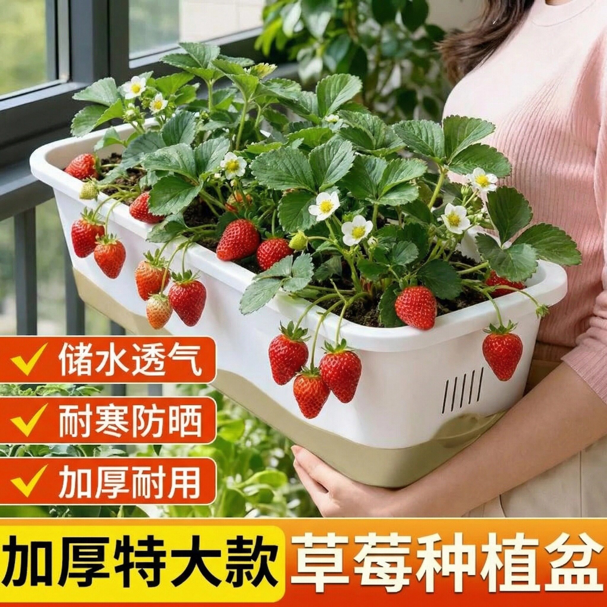 新款草莓种植盆阳台户外专用盆储水加厚懒人盆长方形蔬菜种植盆