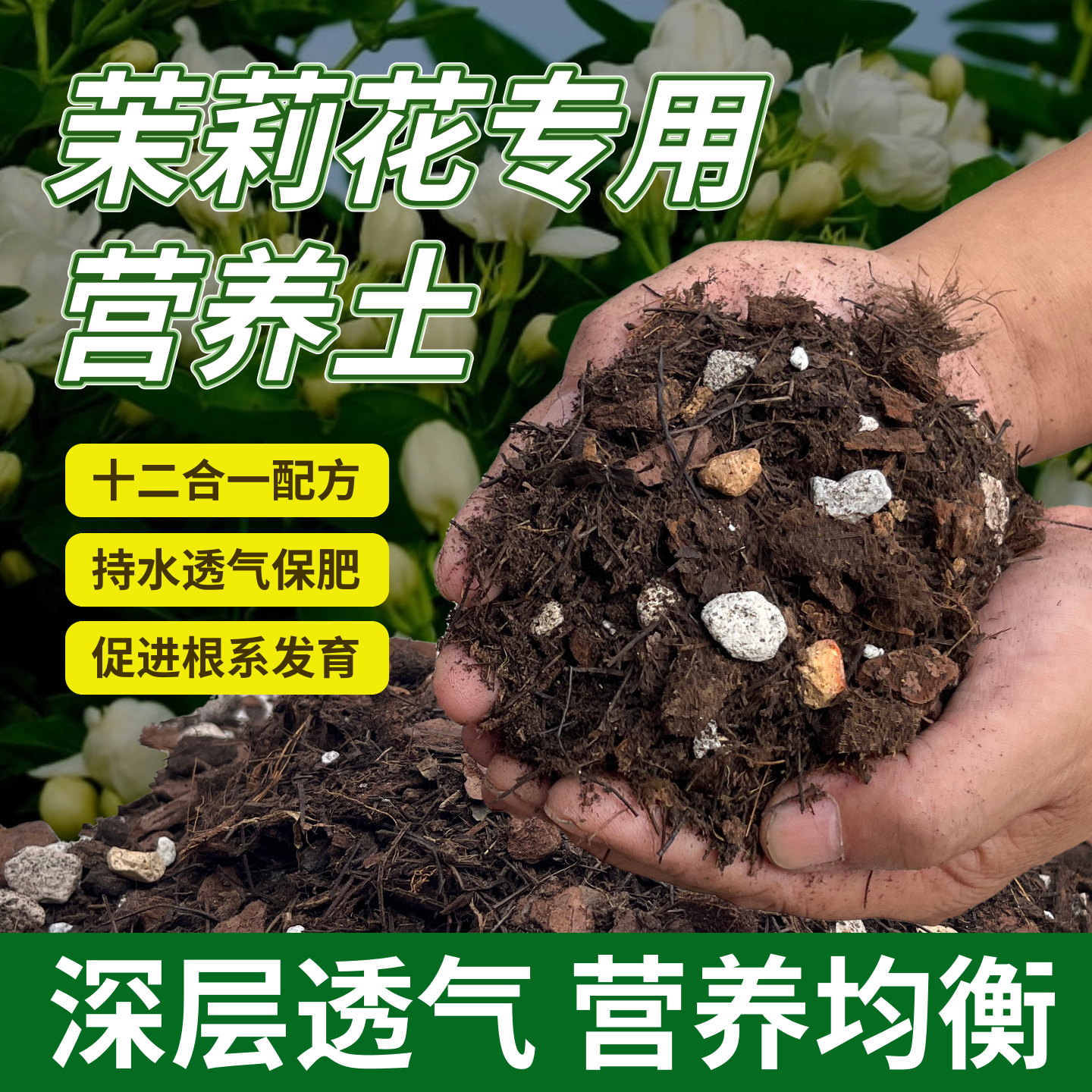 茉莉花专用土茉莉花营养土盆栽土壤种植花苗家用独杆垂丝茉莉树苗