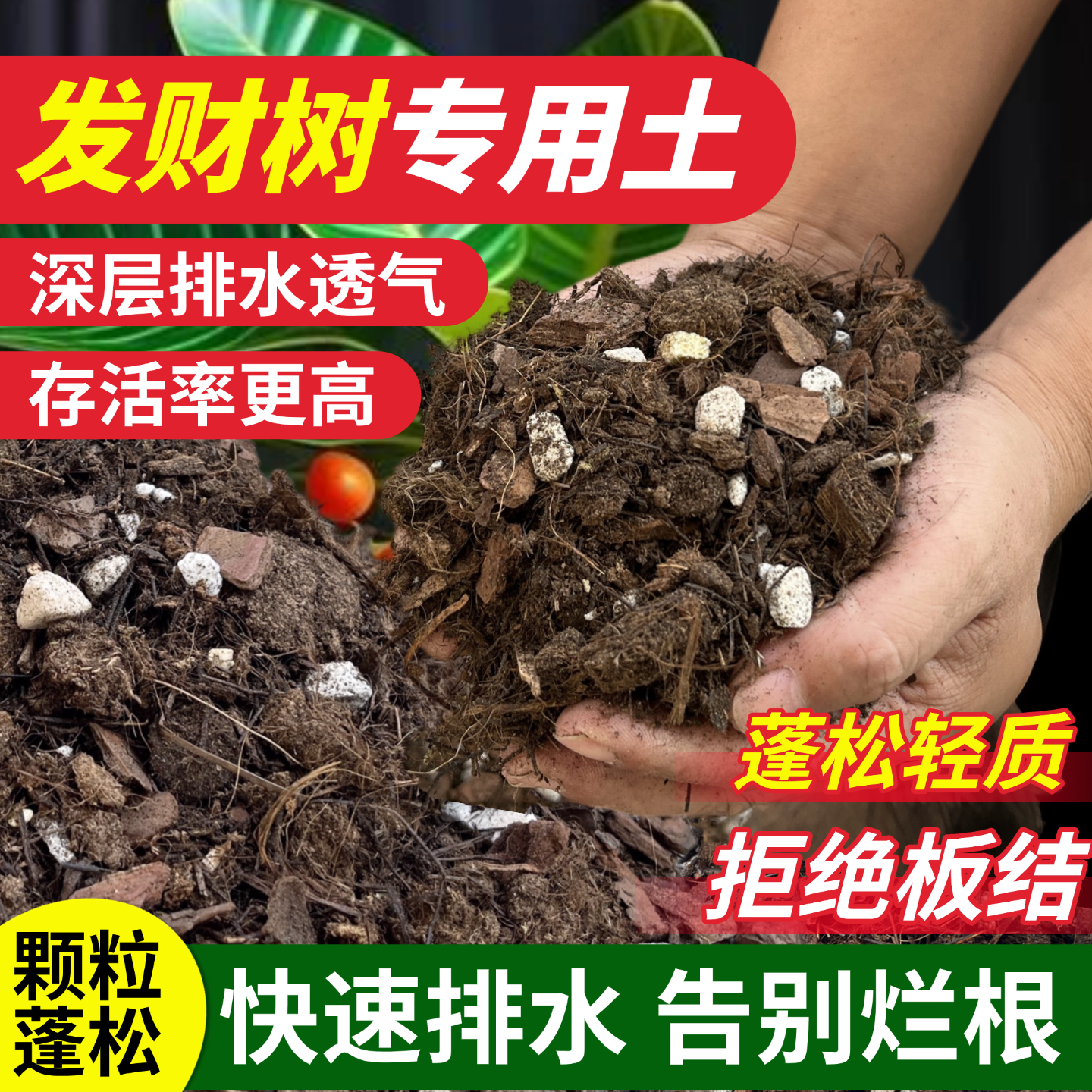 发财树专用土进口粗颗粒深层透气
