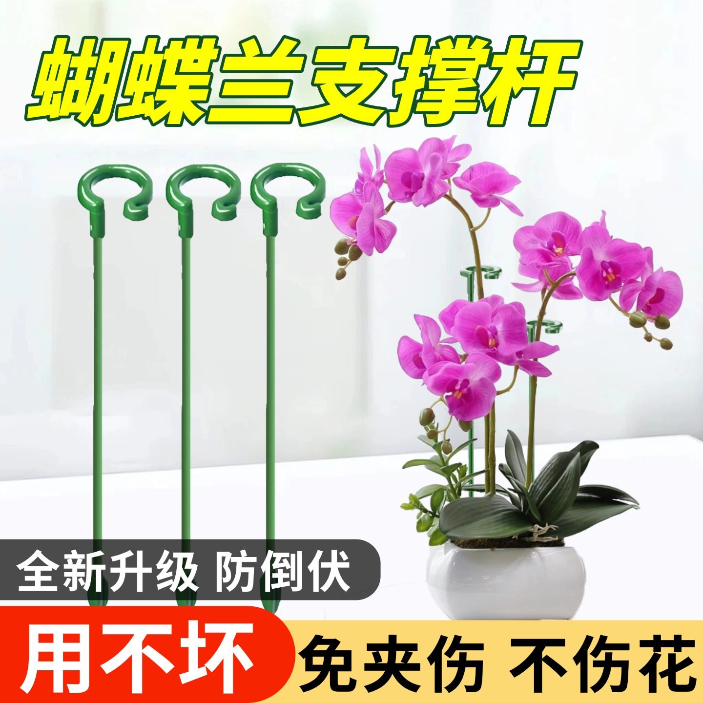 蝴蝶兰专用支架植物固定支撑杆防倒伏支架吊兰月季花卉园艺花架子图片