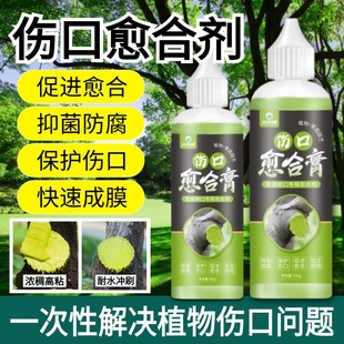 树木伤口愈合膏涂抹剂园艺树木果树盆景嫁接切口修复涂抹膏