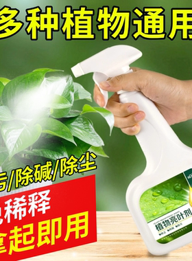 花大师植物亮叶剂花卉除污剂叶面光亮剂清洗灰尘增光喷净免稀释肥