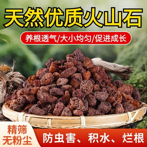 天然红火山石颗粒多肉兰花石料专用营养土植料火山铺面石拌土垫底