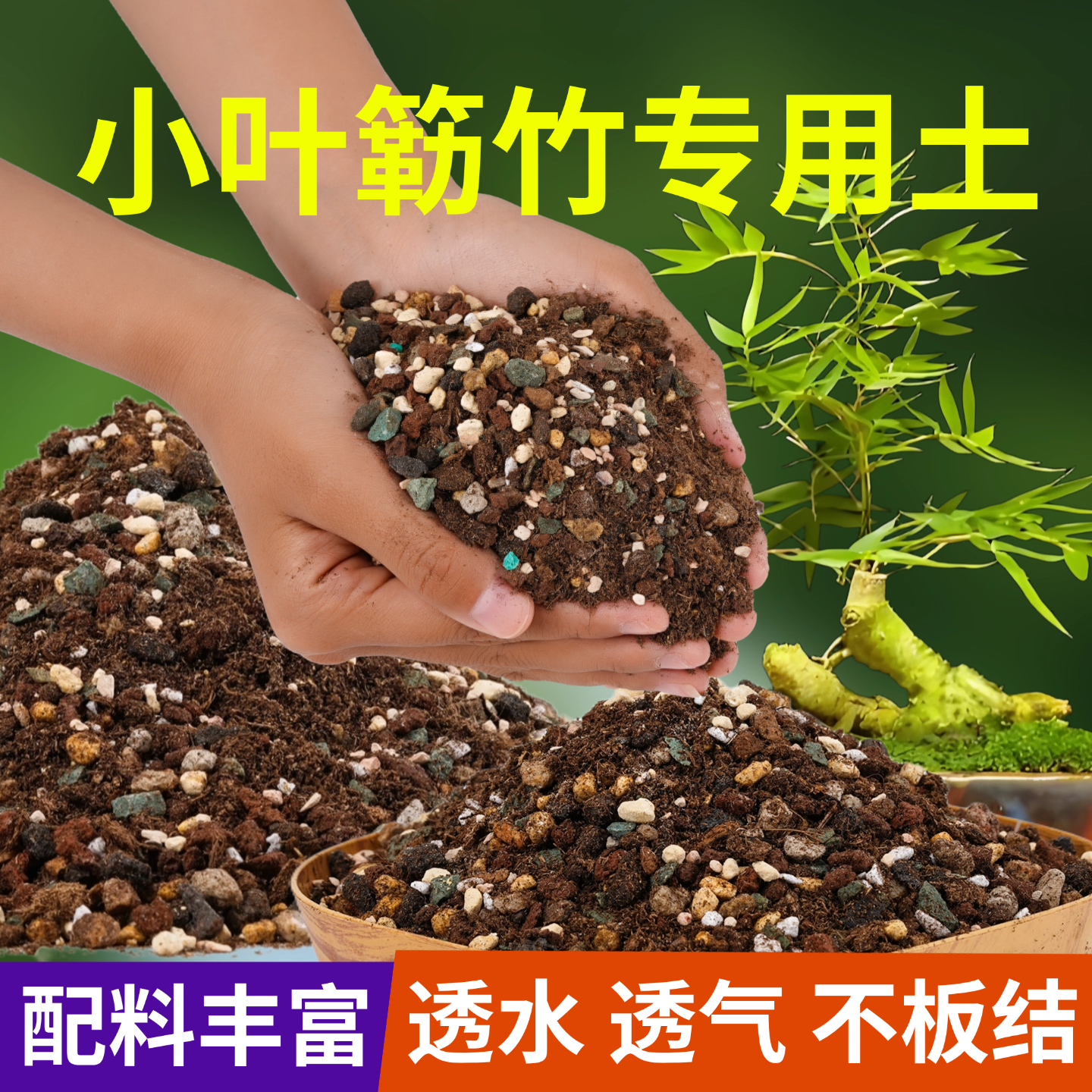 小叶簕竹专用土盆景专用颗粒土风化土勒竹河沙种植土壤竹子专用土