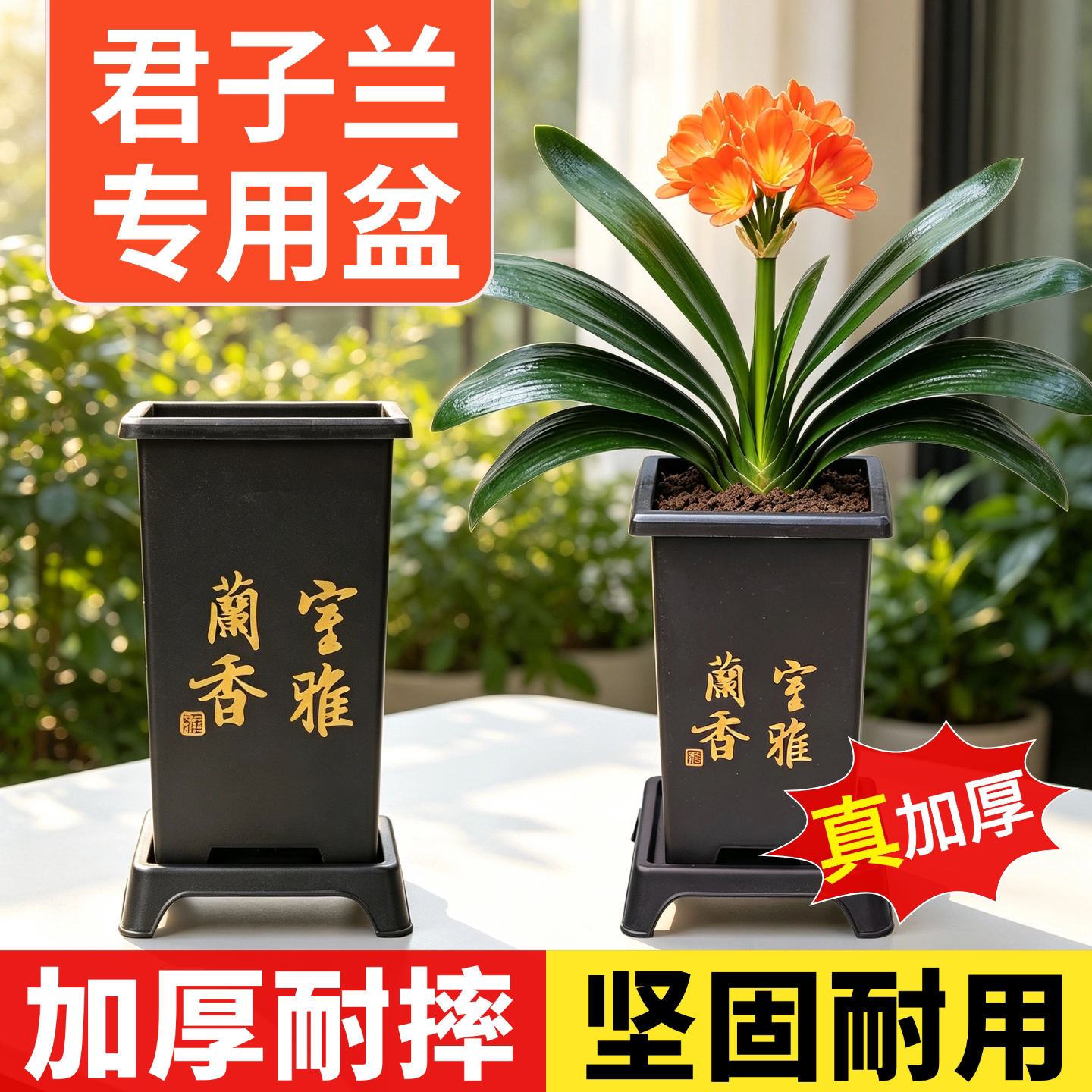 方形高端仿古桌面石斛兰专用盆图片