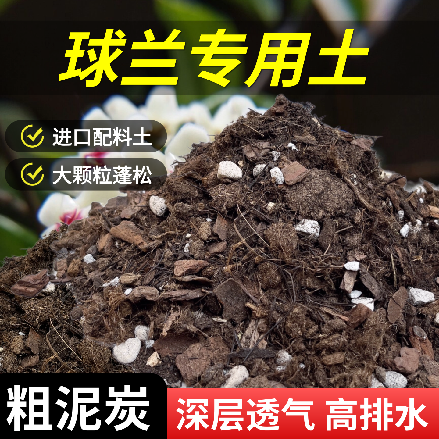 球兰专用土营养土盆栽种植银斑植物斗兰进口泥炭粗颗粒