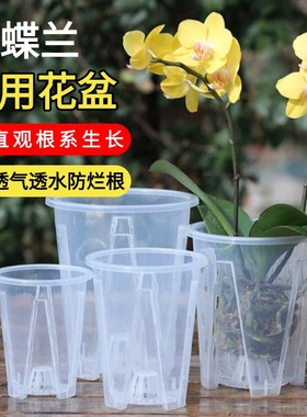 蝴蝶兰花盆透明控根兰花水苔石斛花卉专用盆塑料镂空家用加厚透气