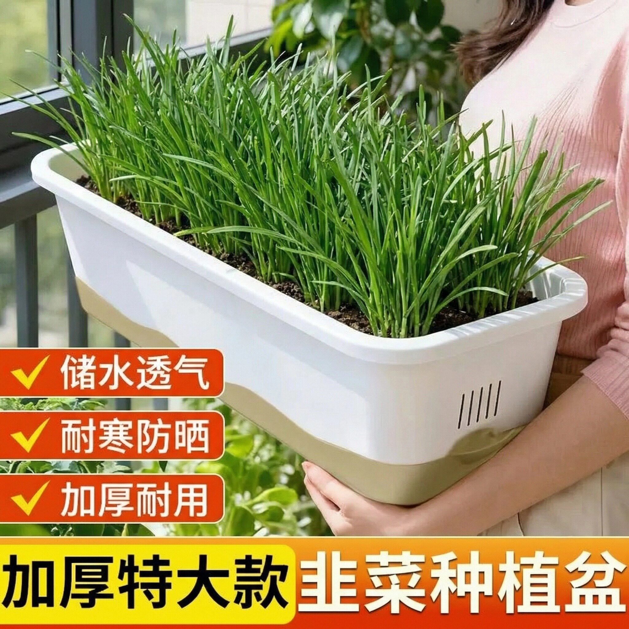 阳台蔬菜专用盆韭菜种植盆小葱蒜苗种植盆长方形加厚储水青菜生菜