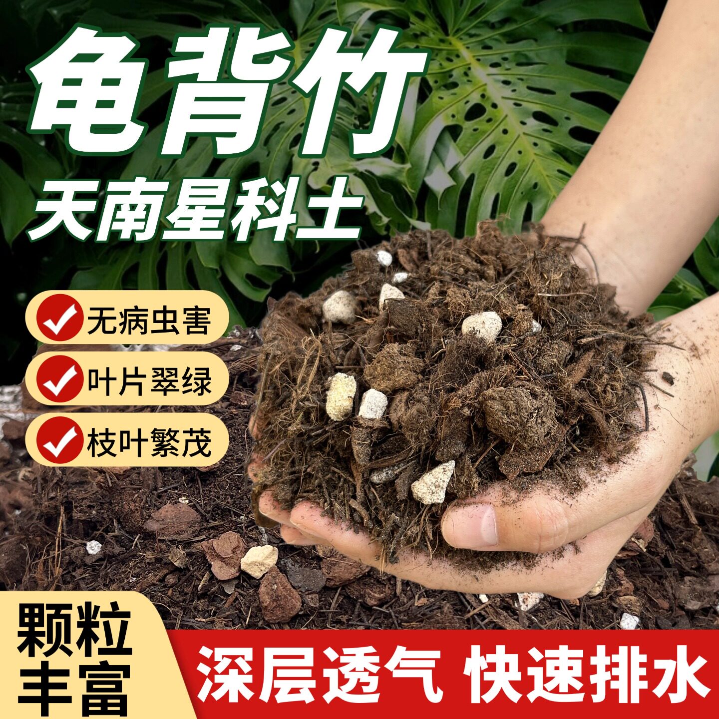 龟背竹专用土天南星科植物土热植营养土海芋花烛粗颗粒泥炭盆栽土