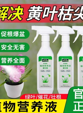 叶面肥免稀释植物营养液文竹天堂鸟一帆风顺喷绿治黄叶绿素喷施肥