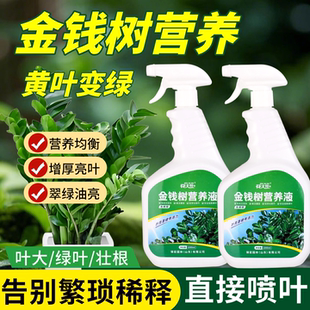 金钱树营养液专用肥料家用绿植通用型摇钱树钱串子叶子发黄叶面肥