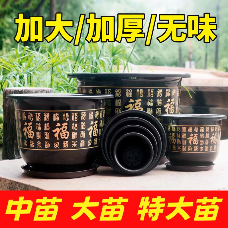花盆大口径批发福字蓝莓种植大花盆便宜果树苗绿植专用盆加厚树脂