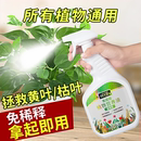 营养液植物通用型养花发财树绿植花卉绿萝肥料室内盆栽叶面肥喷施
