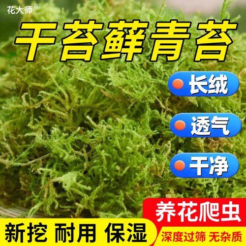 花大师长绒青苔水苔干苔藓特优级