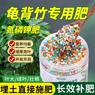 龟背竹专用肥料颗粒肥氮磷钾复合肥缓释盆栽四季大叶天南星科绿植