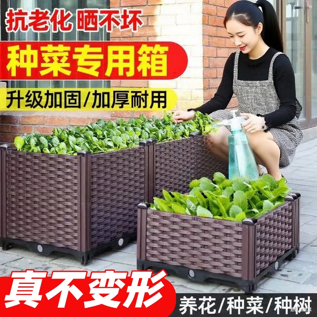 家庭阳台种菜专用箱特大户外