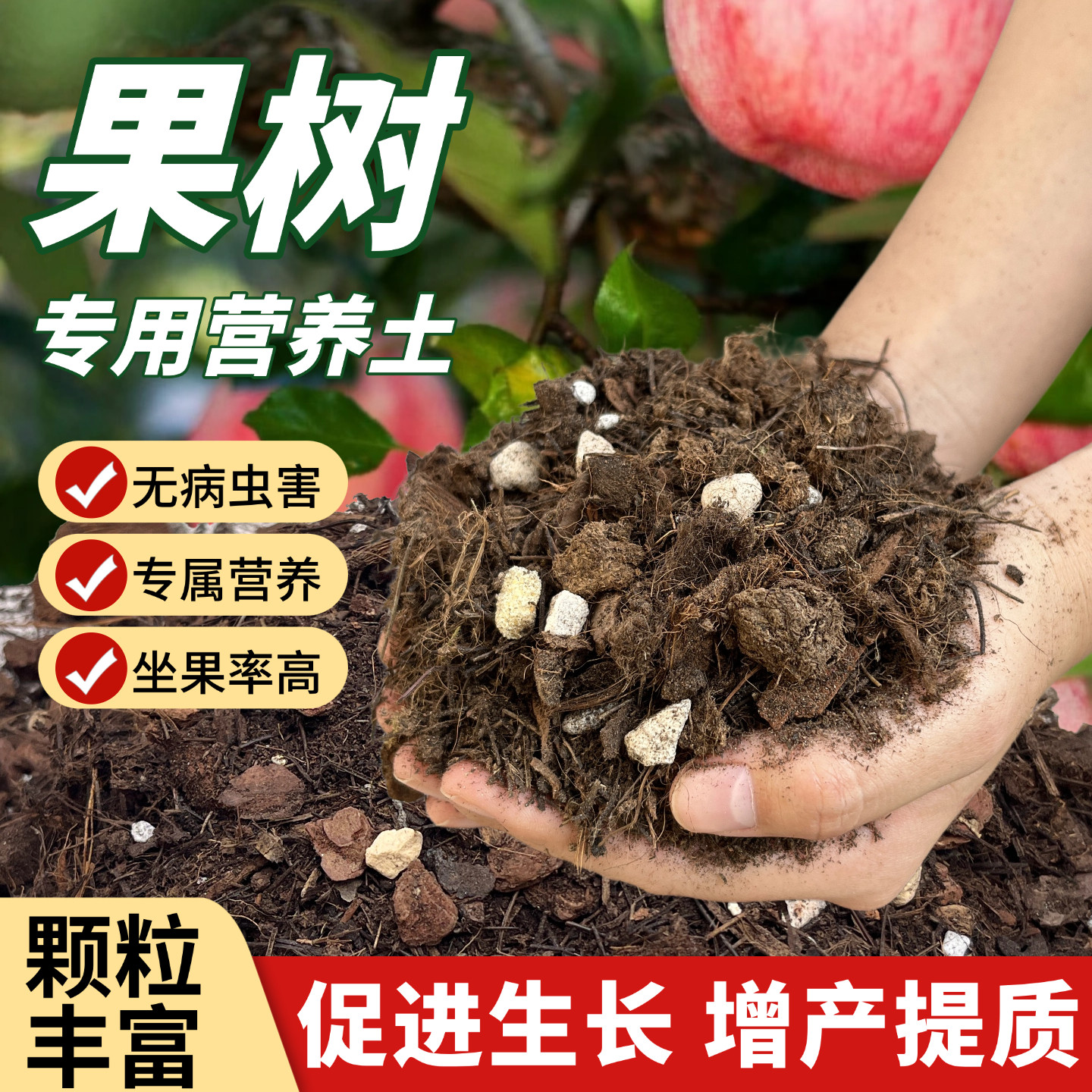 果树专用土营养土盆栽嘉宝果葡萄树桔子树橘子苹果樱桃树苗种植土图片