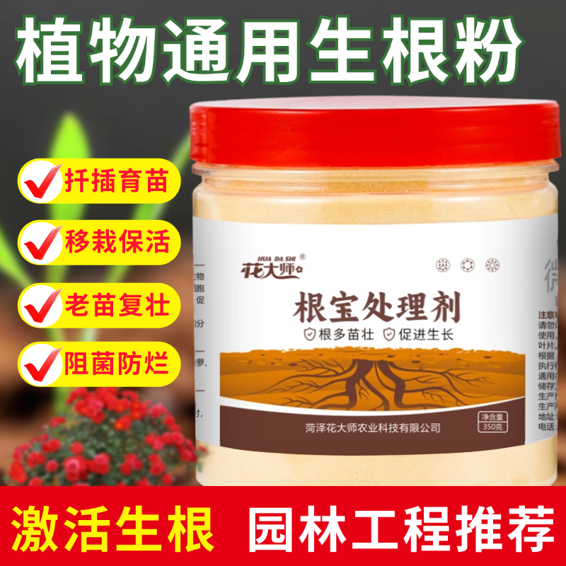 大树复壮扦插移栽快速生根爆发