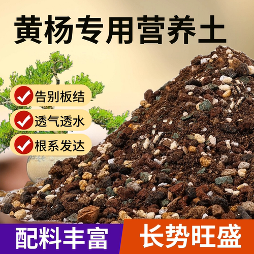 花大师正品店铺评价过万极速发货