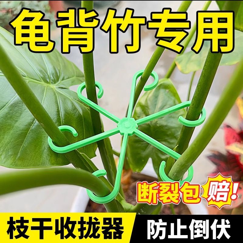 龟背竹支撑杆植物水培固定防倒伏花卉支撑架花架枝干收拢架定神器图片