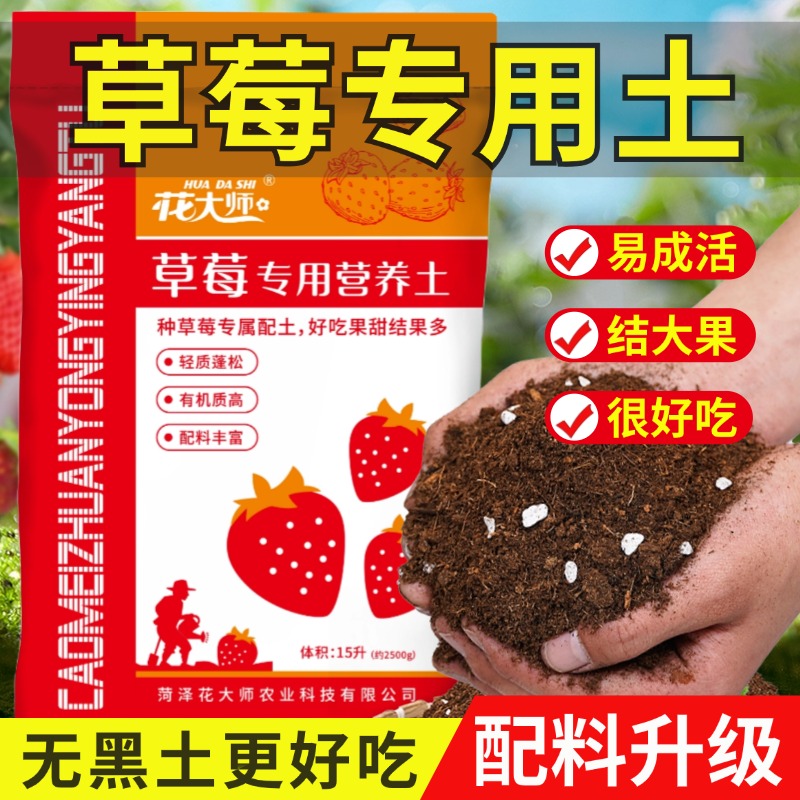 花大师草莓土果多好吃口甜有机