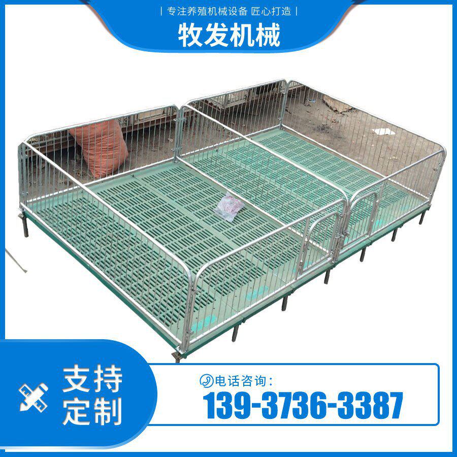 双体保育栏 自动化小猪通板 猪用保育床结构简单