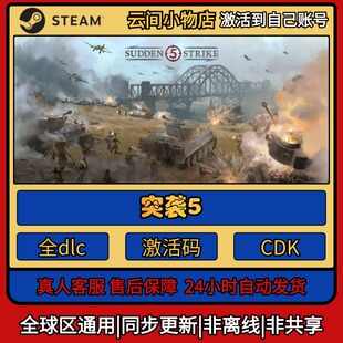 突袭5 Steam正版激活码入库CDKEY电脑全DLC中文游戏激活入库