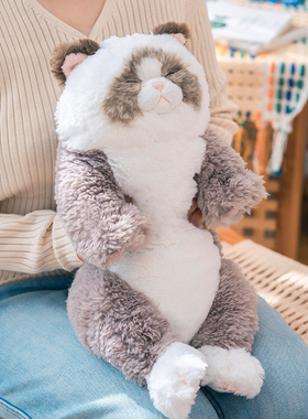 sunlemon猫咪毛绒玩偶儿童玩具娃娃睡觉抱枕公仔生日情人节礼物女