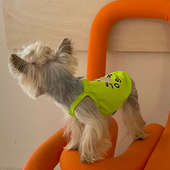 小甜粥印花吊带约克夏马尔济斯狗狗猫咪纯棉弹力可爱衣服