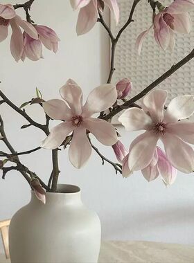 形上法式陶瓷花瓶日式家居客厅插花水培复古白色ins 花器摆件