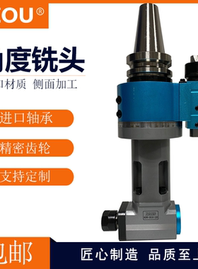 LZOU利洲侧铣头加长型角度头龙门横铣刀头BT40BT50特长型角度铣头