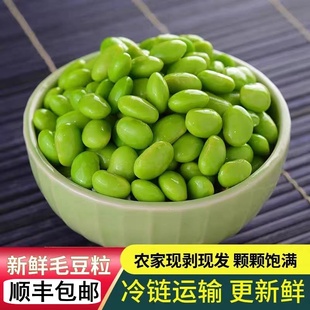 新鲜毛豆仁速冻毛豆米高蛋白农家种植青豆蔬菜批发预制菜顺丰包邮