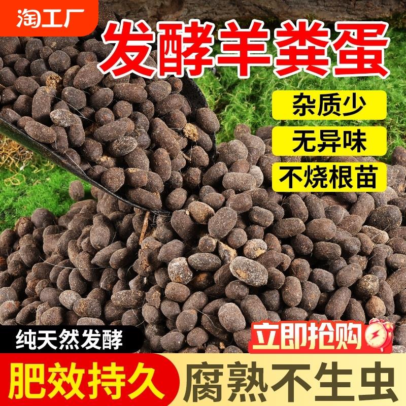 羊粪发酵有机肥内蒙古纯羊粪蛋颗粒肥种菜有机肥料蔬菜月季花专用