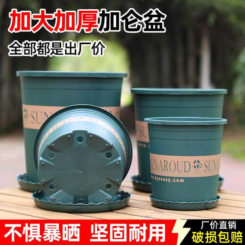 加厚塑料加仑花盆大号透气适合阳台绿萝多肉小盆栽使用花盆