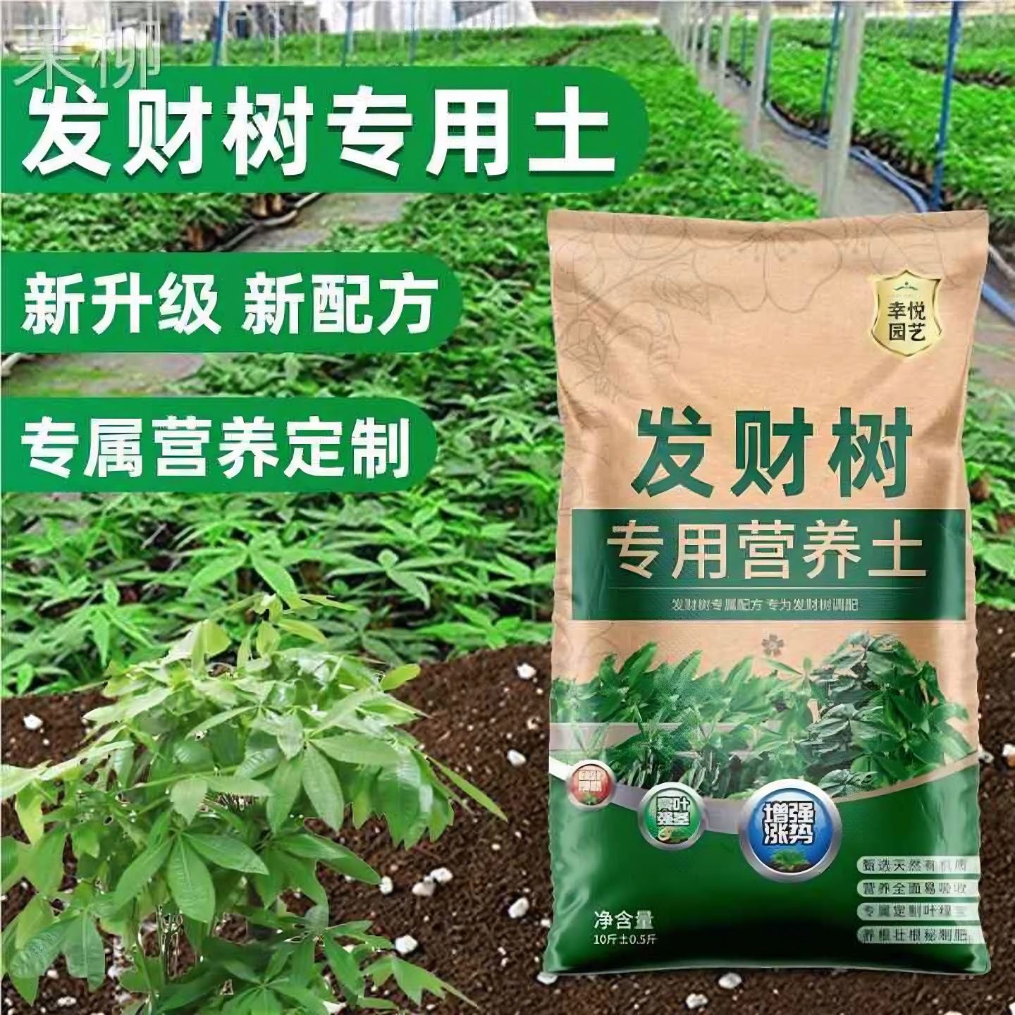 种养发财树专用土营养土花土盆栽土壤发财树肥料专用肥泥土种植土