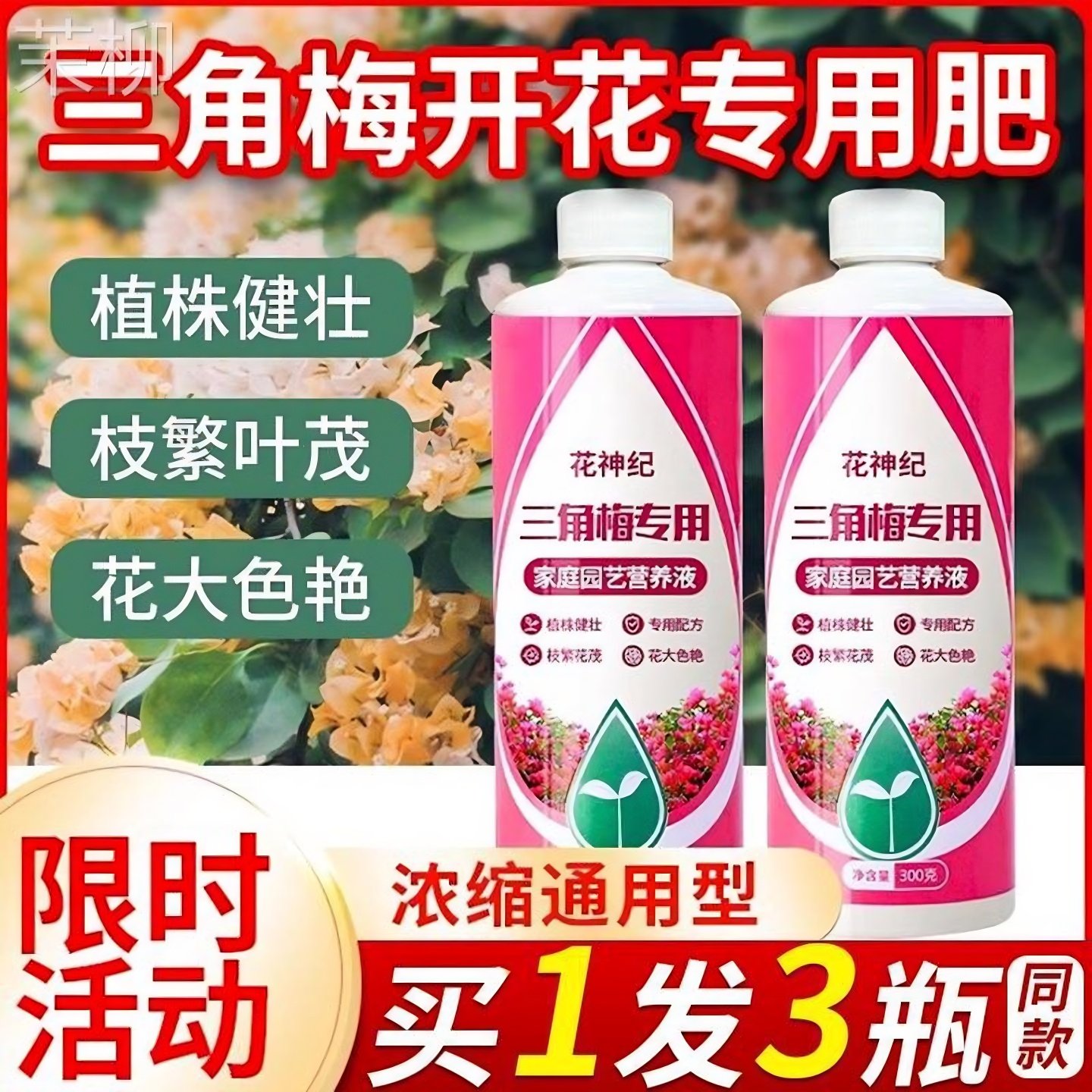 三角梅开花专用营养液肥促花爆花骨粉复合肥料养花枝繁叶茂促开花,节庆用品/礼品,路引,淘宝优惠券,粉丝福利购,淘宝优惠卷