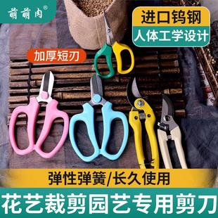 萌萌肉园艺花艺剪刀宽头家用花剪鲜花花道剪花枝树枝修花修枝工具