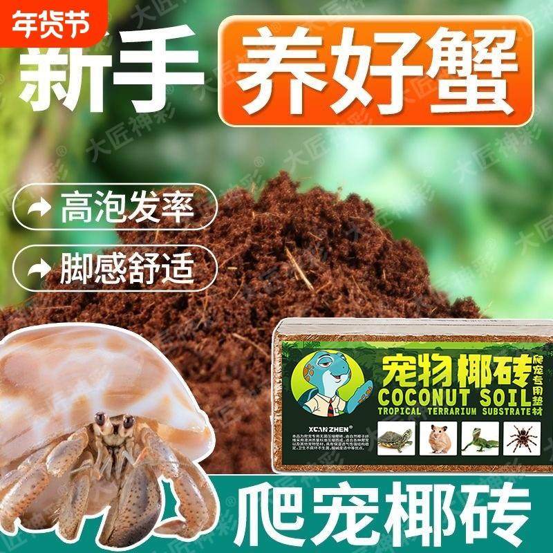 免洗寄居蟹专用天然椰土椰砖垫料乌龟爬宠用品螃蟹替换壳苔藓底砂,节庆用品/礼品,笔筒,淘宝优惠券,粉丝福利购,淘宝优惠卷